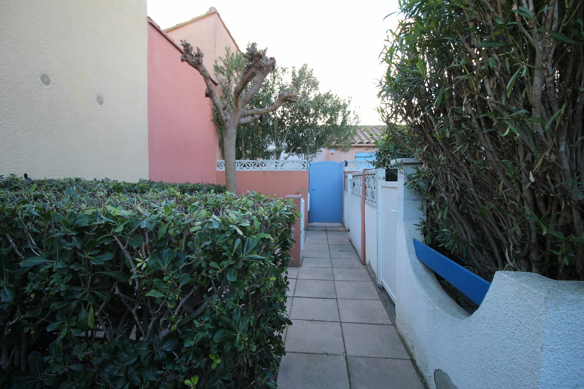 Appartement Charmant A Canet En Roussillon 36 M² Piscine Partagee Bagian luar foto